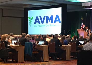 Delegates asked the AVMA to promote more research into cannabis-based therapies for pets