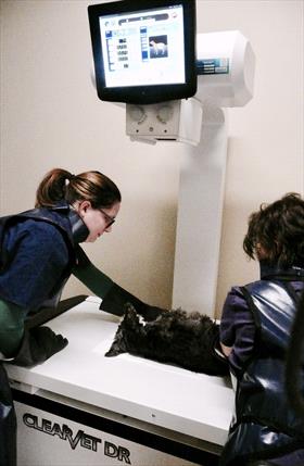 ClearVet unit in use