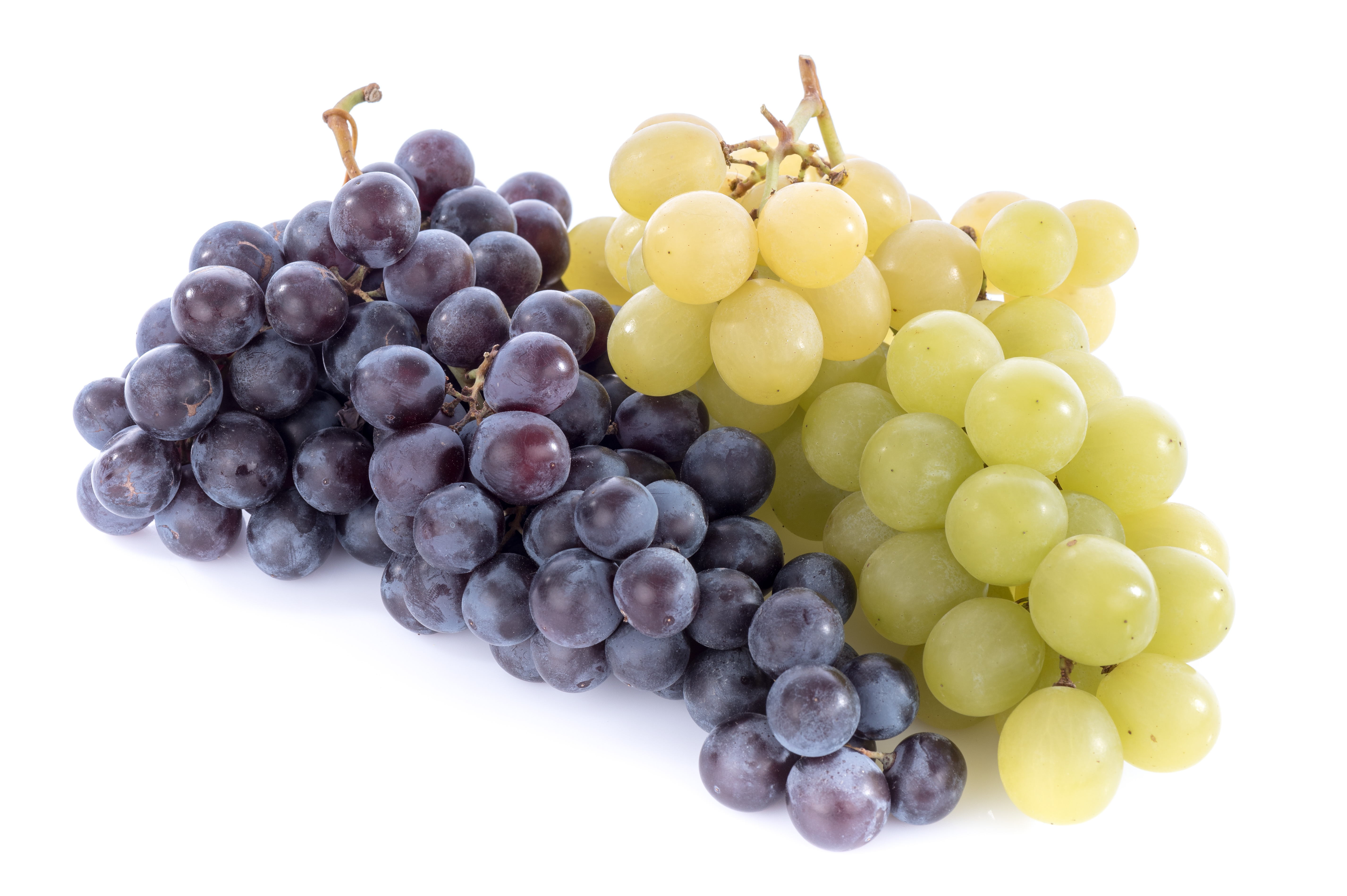 Picture of green and red grapes against a white background.