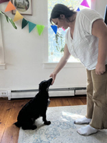Black dog, sitting, touching nose to female handler