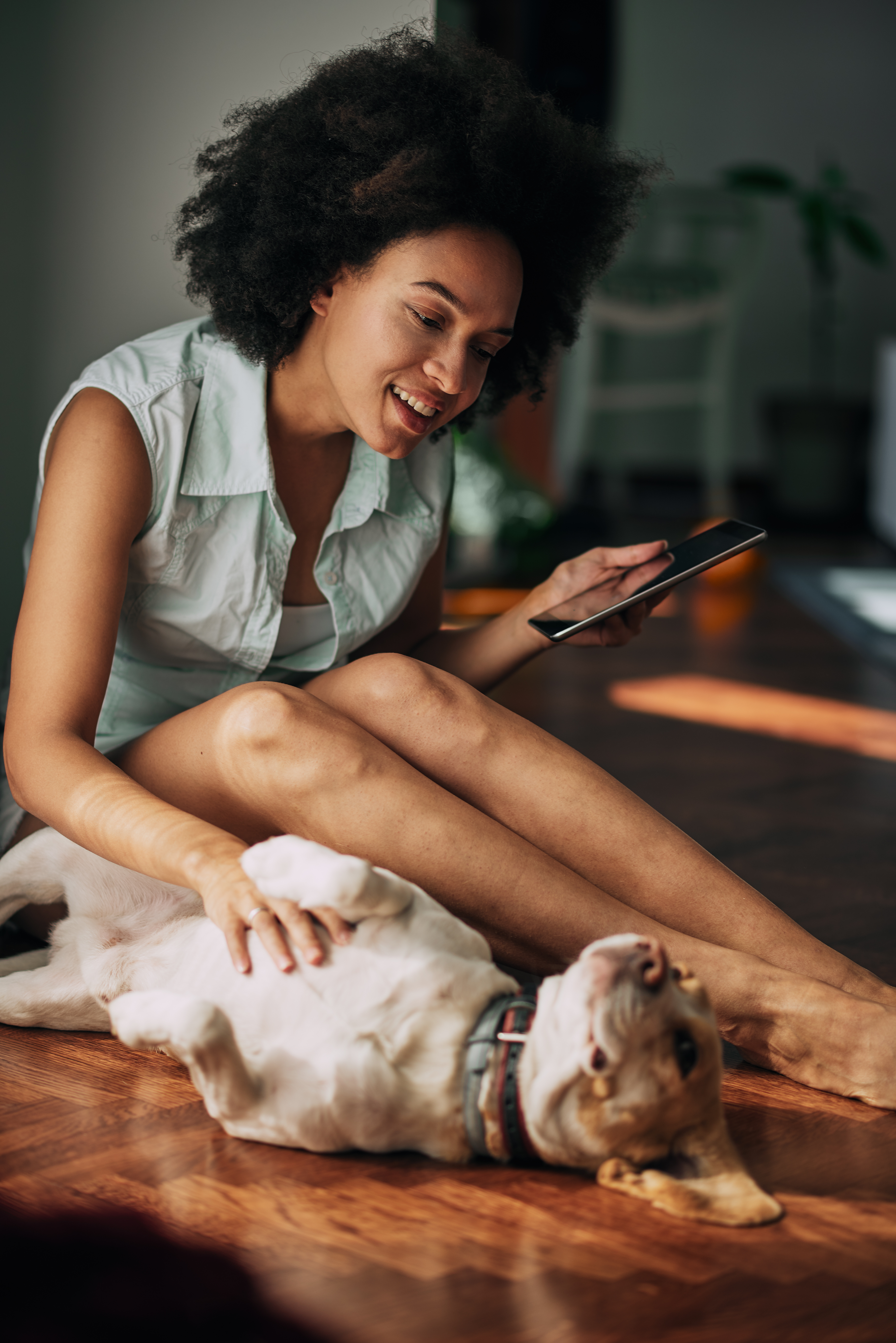 owner with her dog on it's back while owner looks at a tablet