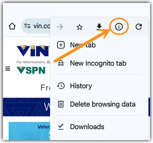 Image of accessing the Information under the Android Chrome menu