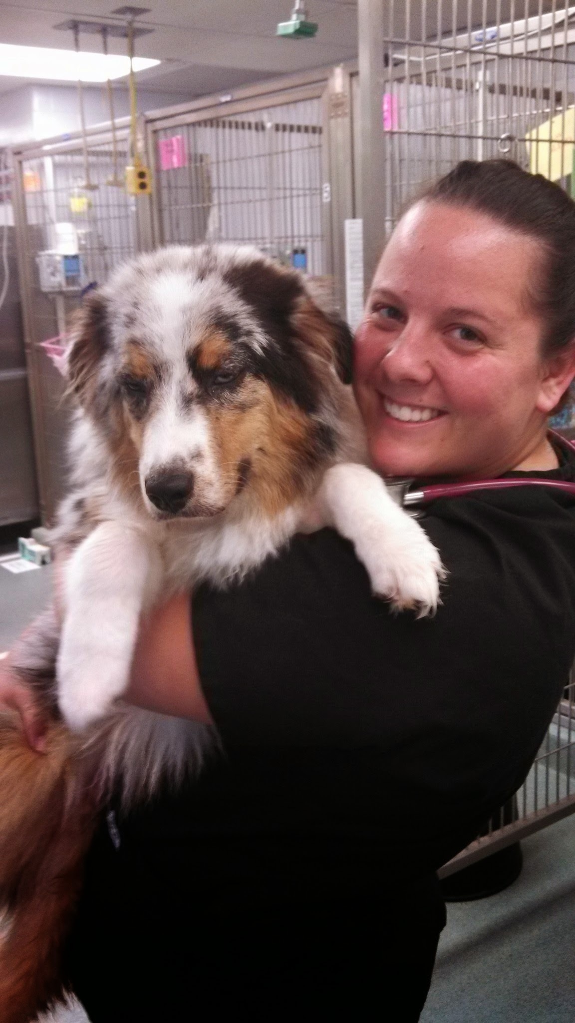 A photo of a very happy dog in the arms of a happy caregiver